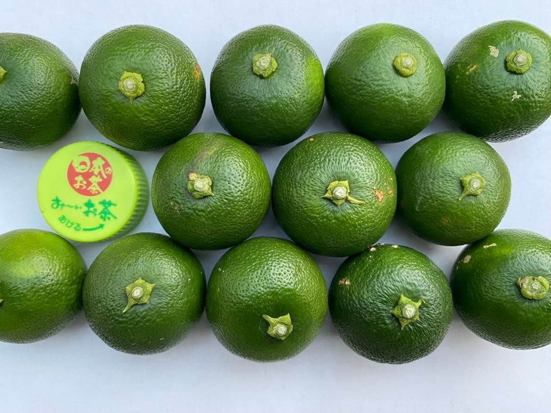 徳島県神山町産　《冷蔵貯蔵すだち》 綺麗なLサイズ　5キロ　　②