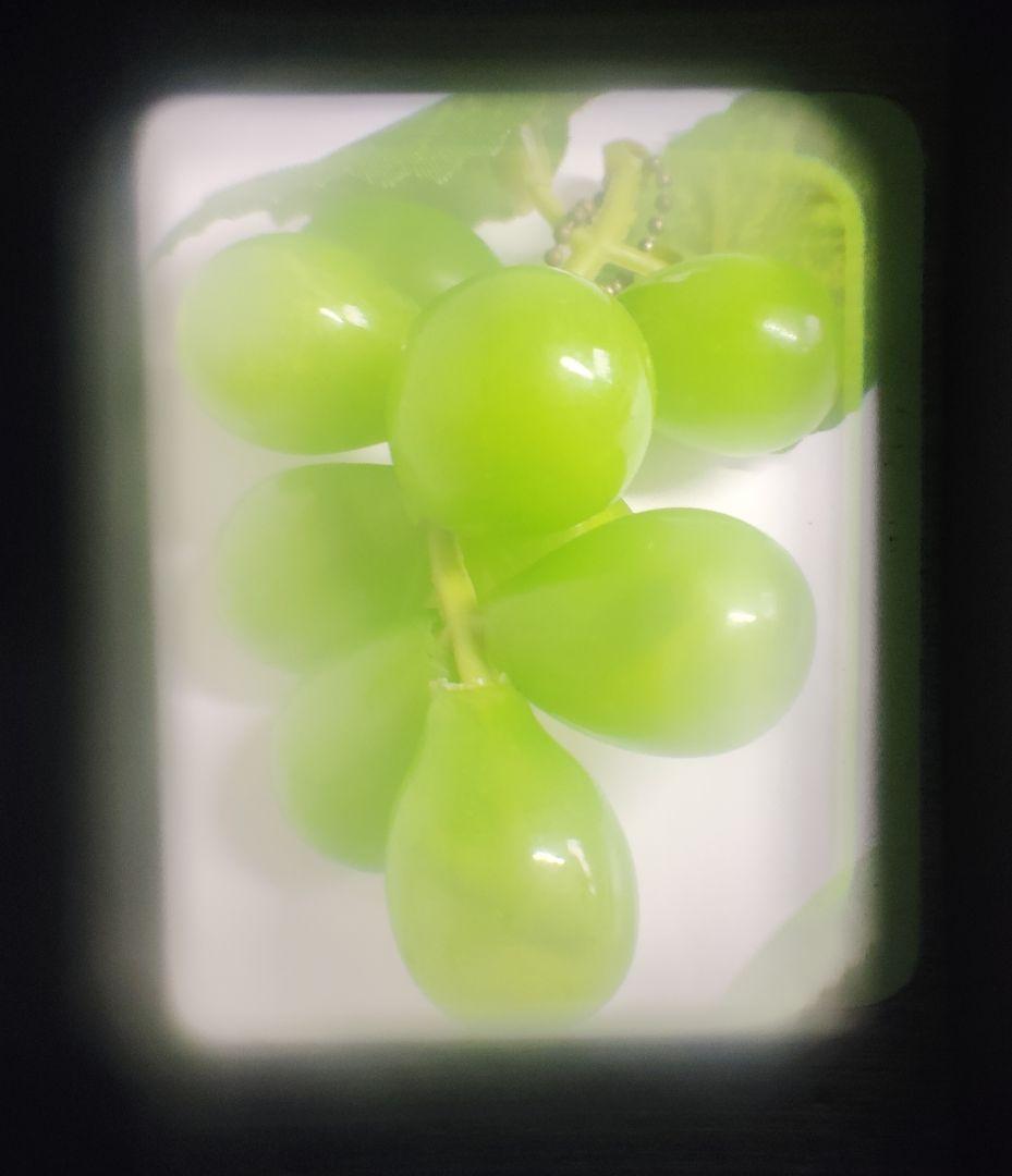 OLYMPUS-PEN EED（動作品）