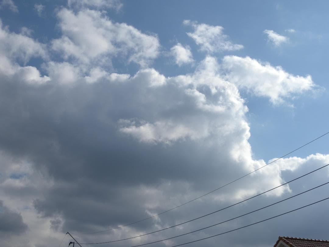 Nikon COOLPIX P6000 名機CCD搭載 エモい写真 コンデジ