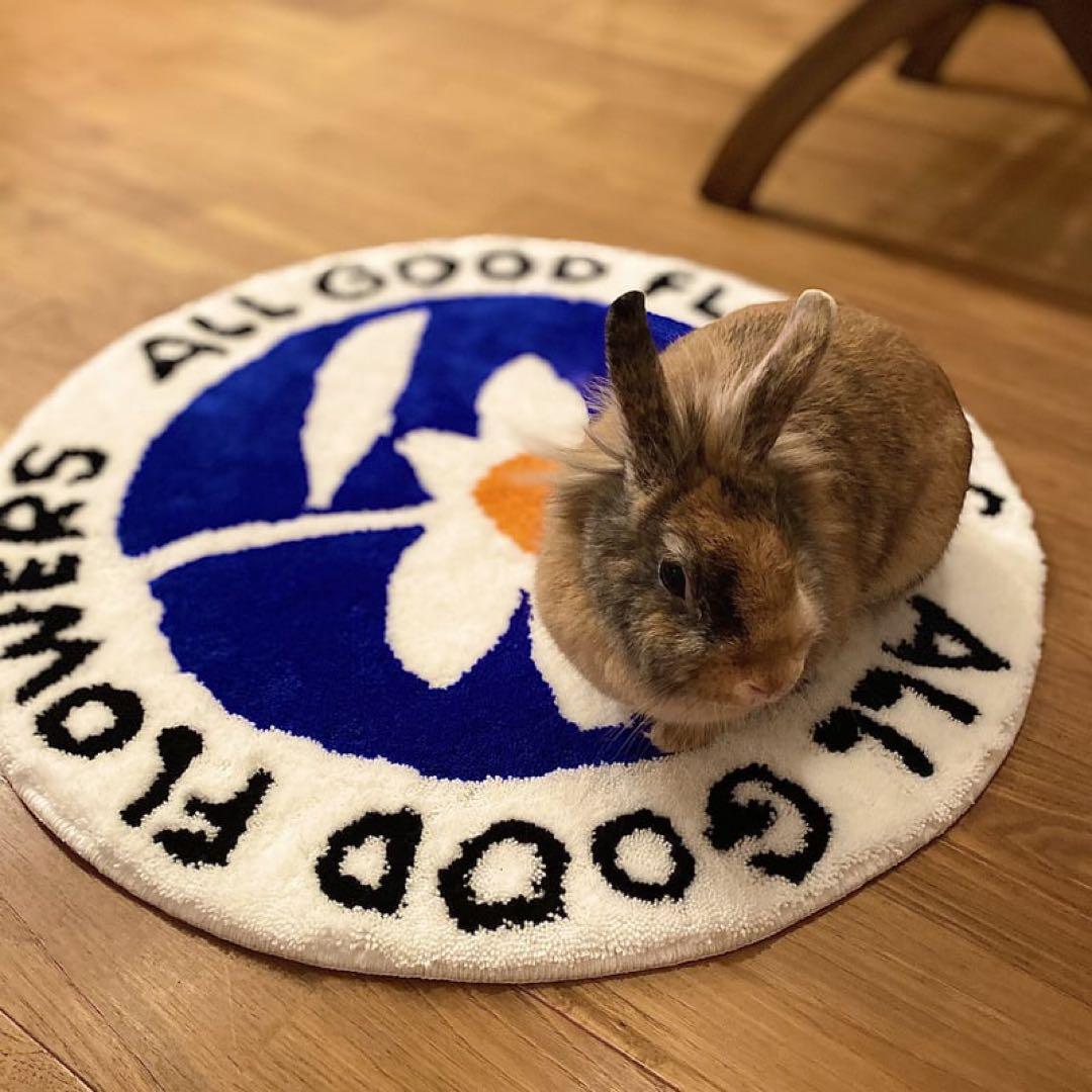 ラグ・カーペット ALL GOOD RUG / MIYOSHI RUG