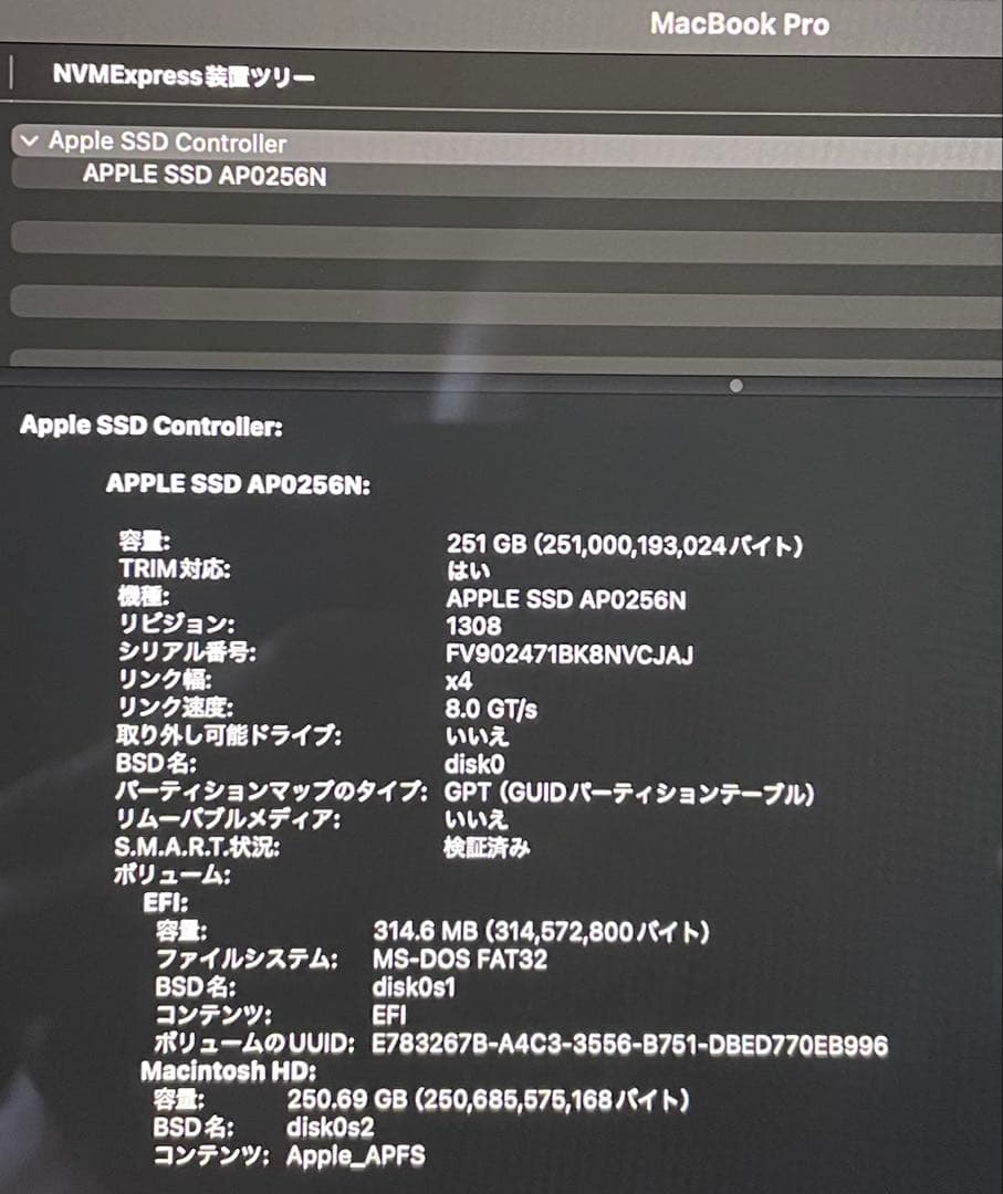 ヤバアギス様の件。MacBook Pro 2020