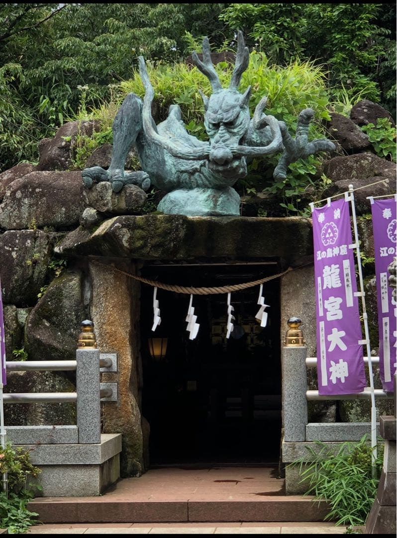 【水わらび】⭐️最強財運〜龍神様⭐️イケメン紫龍　ずっしり801g