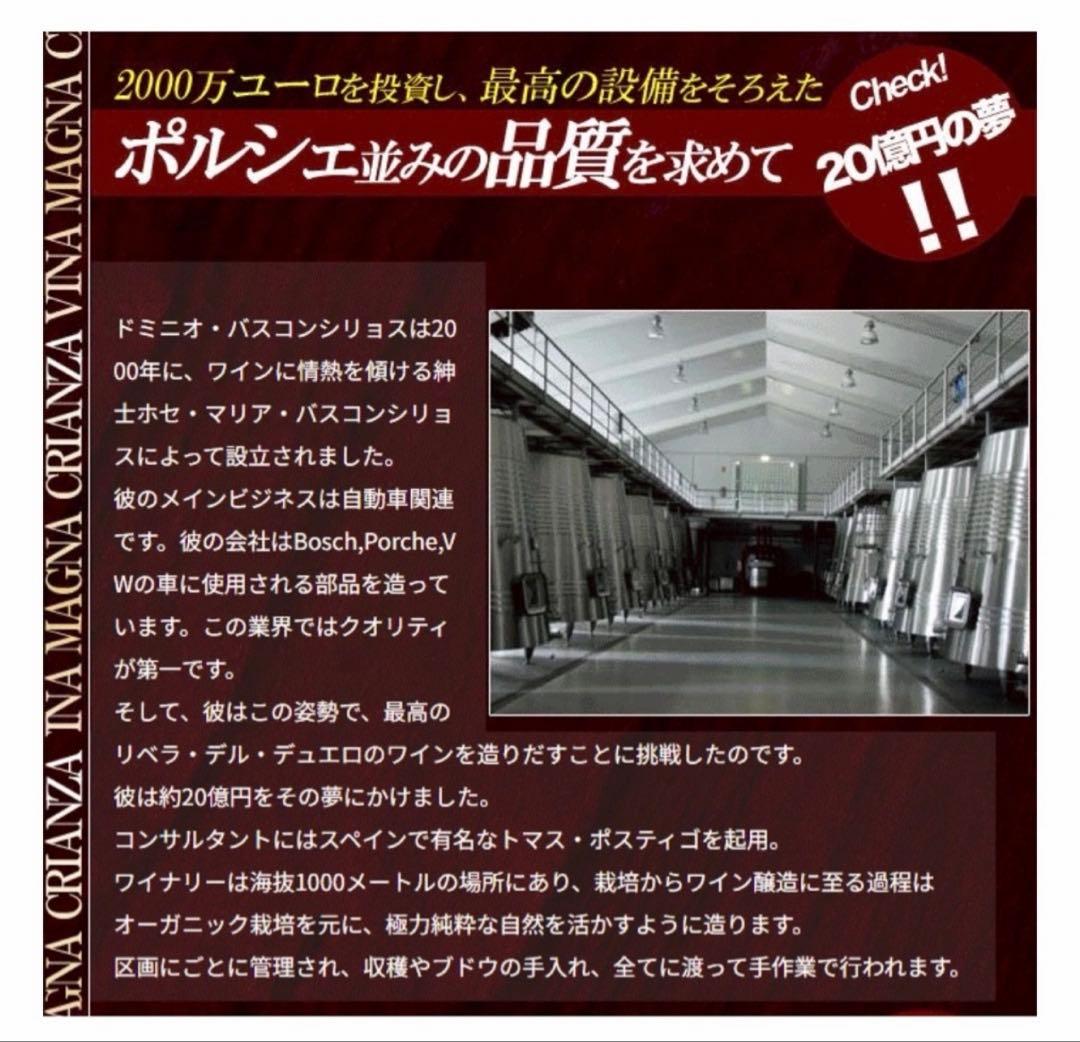 ヴィーニャ マグナ クリアンサ ドミニオ バスコンシリョス 赤ワイン 2本