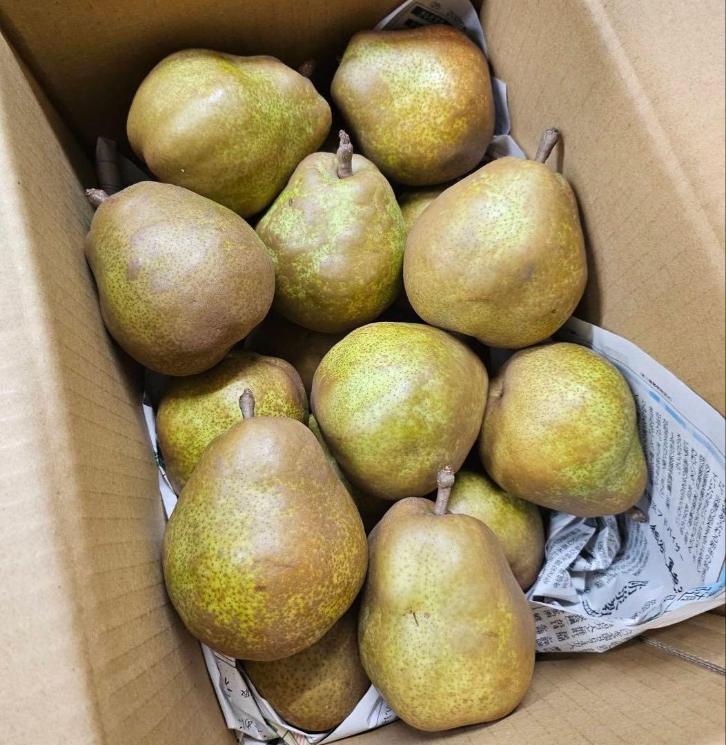 ★ケンさんです★ ラ・フランス　5キロ ✖️4箱 ご家庭用　2L〜4L