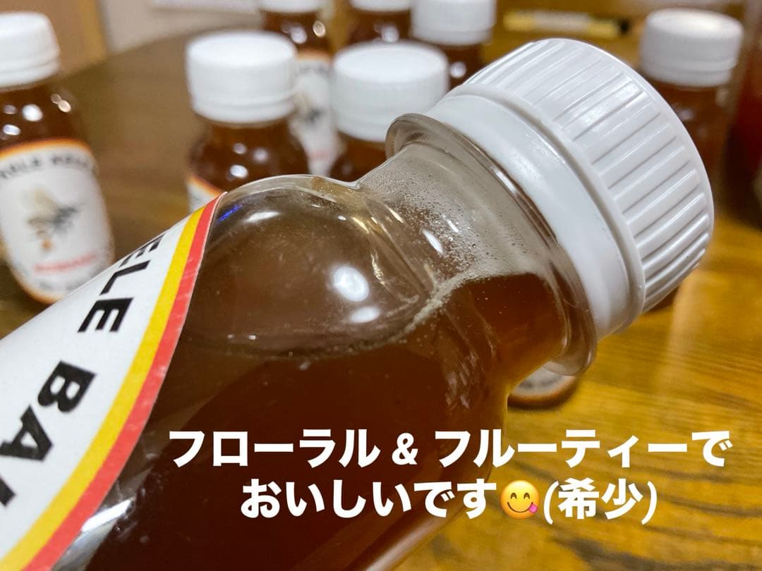 専用 針なしミツバチの蜂蜜150g6本、サリビンクリーム、赤生姜、森の蜂蜜