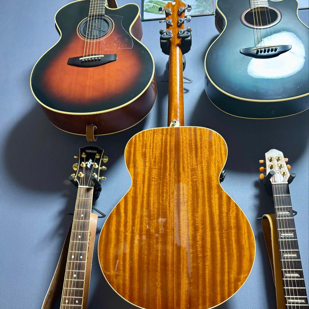 美品【トランスギター】James JF400-NAT ケース付き（値下げ中）