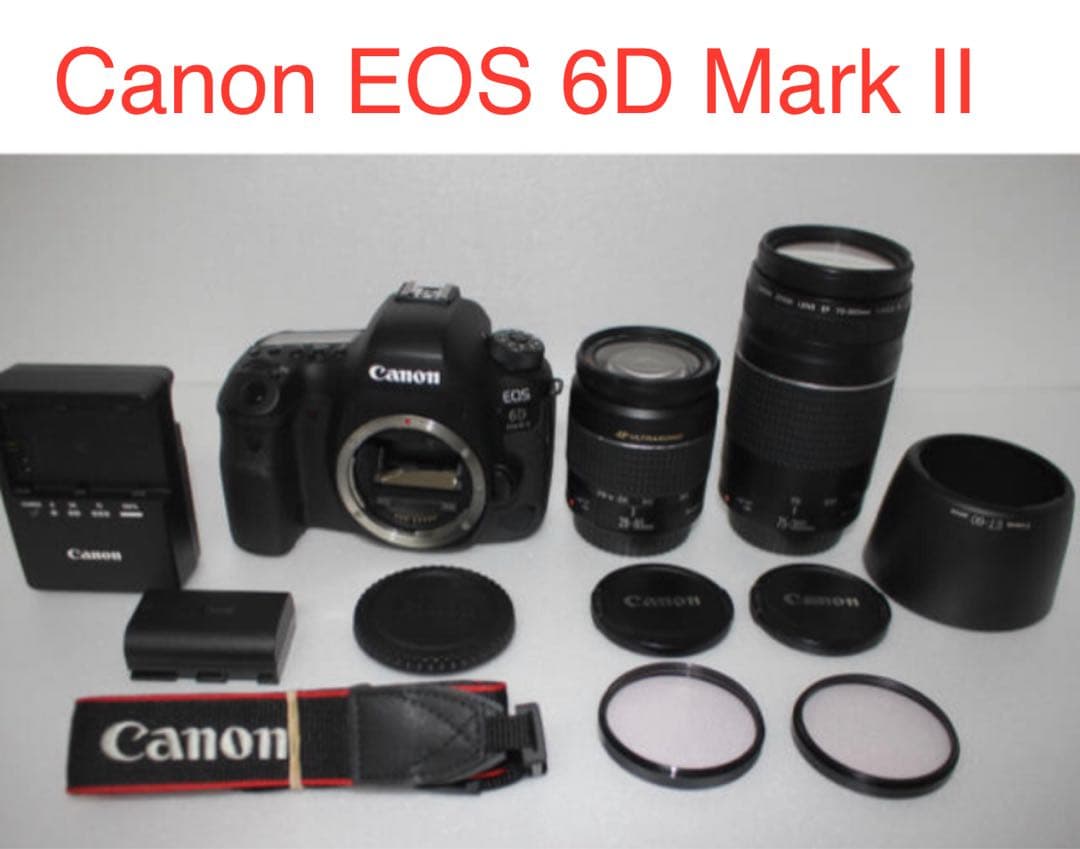 美品　Canon EOS 6D Mark II標準&望遠ダブルレンズセット
