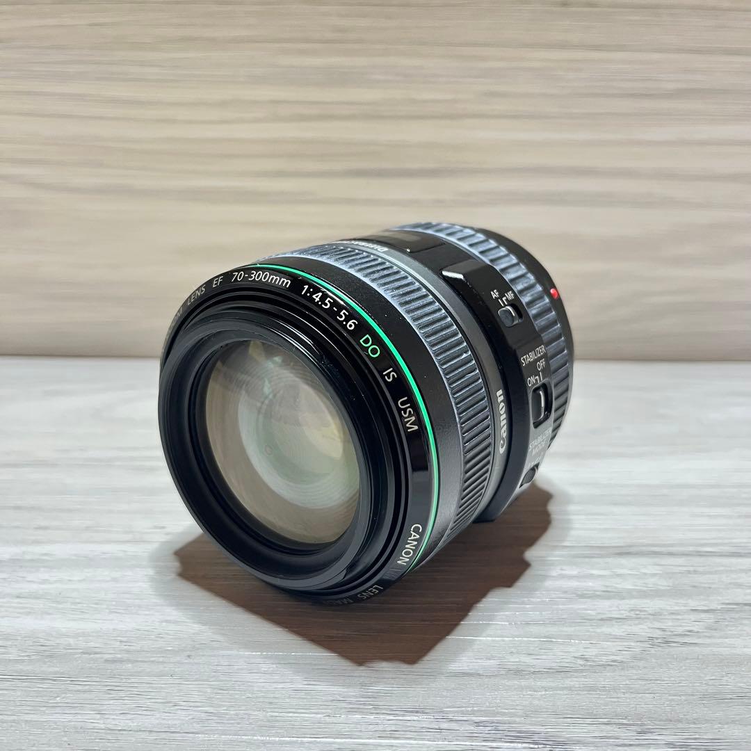 キャノン Canon EF 70-300mm f/4.5-5.6 DO 3317