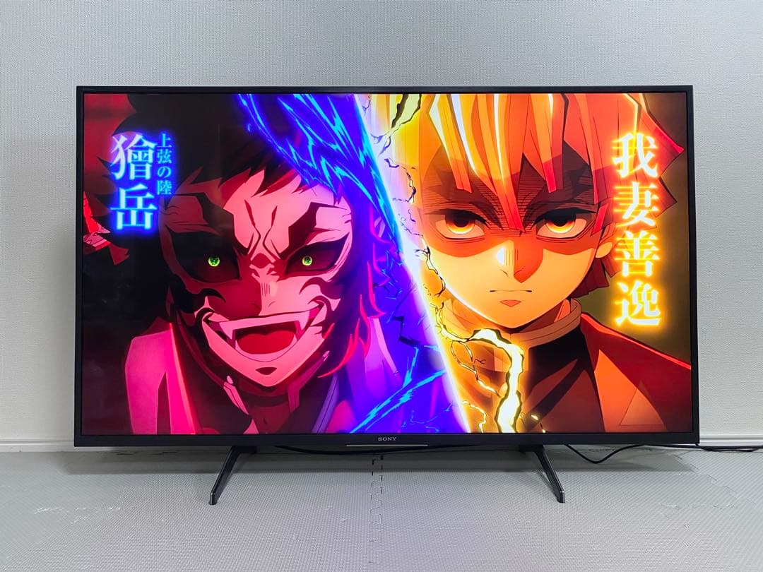 橋本健一 SONY BRAVIA KJ-49X8000H 4K テレビ
