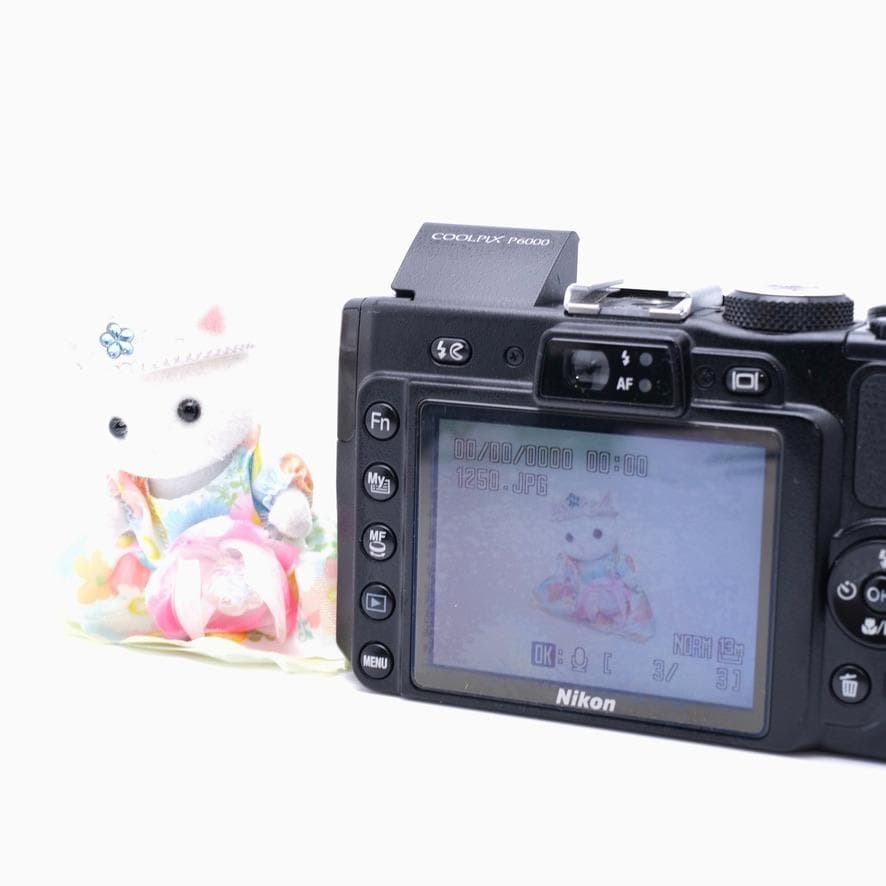 【動作確認済】Nikon ニコン COOLPIX P6000 デジカメ CCD