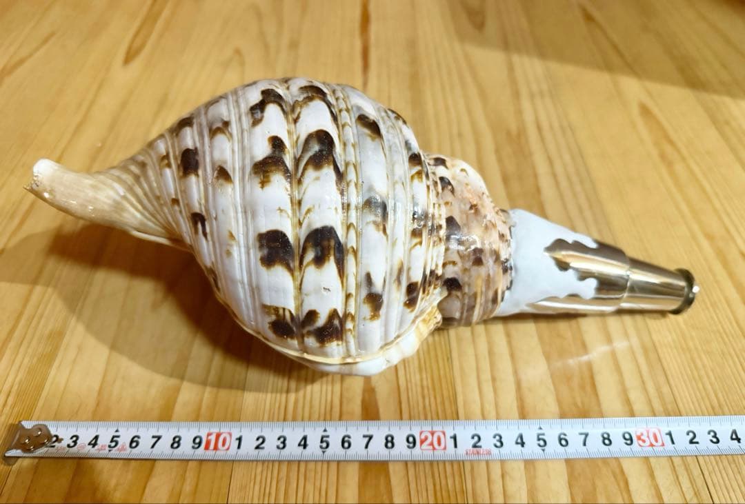 修験道法螺貝34㎝山伏　密教　魔除け　熊よけ❣️ほら貝　ホラガイ