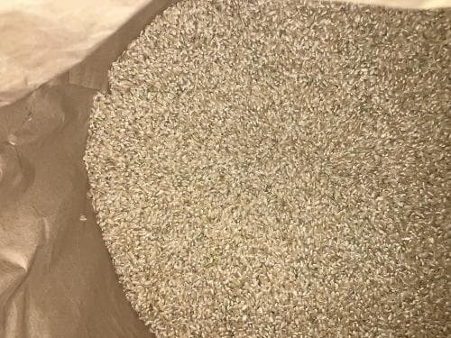 ７年産　はれわたり　玄米30K