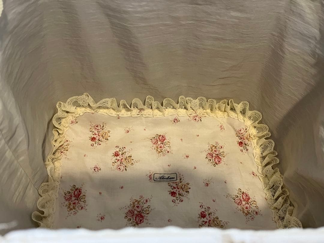 ちーたんでございます。さえら　アキアカネ　難あり(未使用) 大きなカゴ