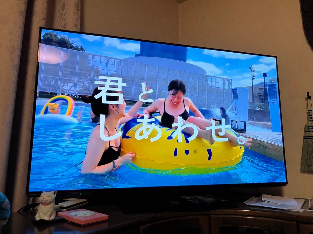 Panasonic 大画面液晶テレビ 大型テレビ