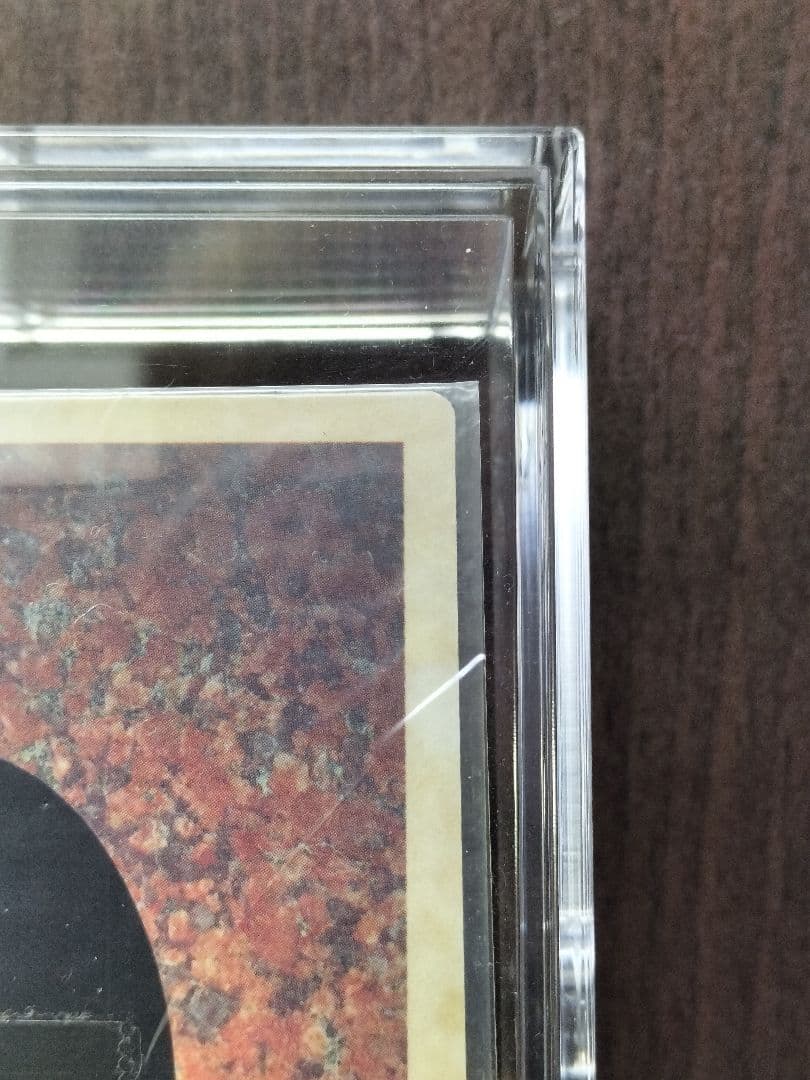 ツ*ム様 未開封　ホーリーナイトドラゴン　聖夜竜