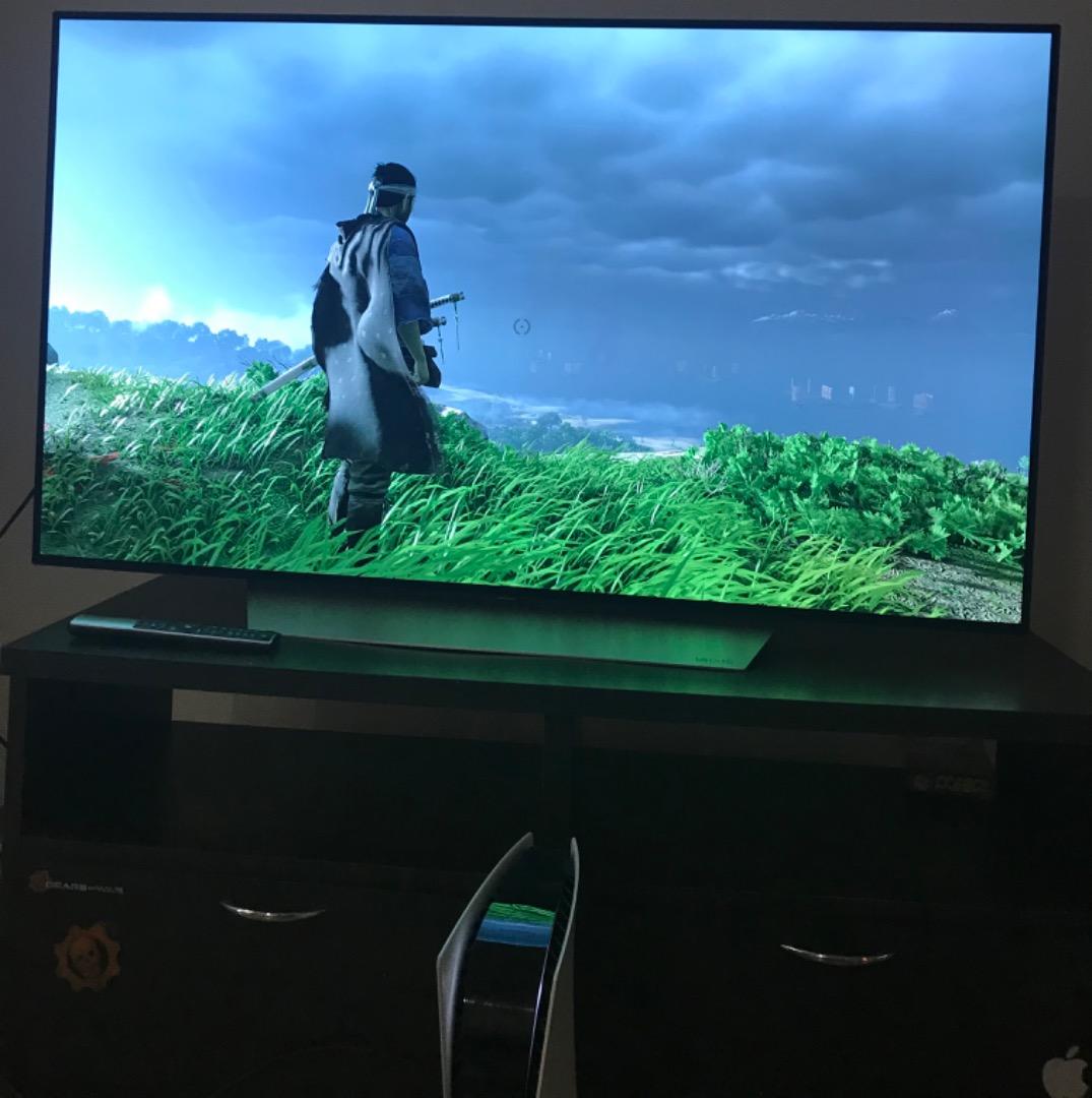 テレビ LG OLED 55v C7with Burn in pickup only