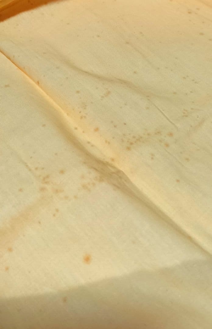 j*t様 マルク・シャガール ベンジャミン族 リトグラフ