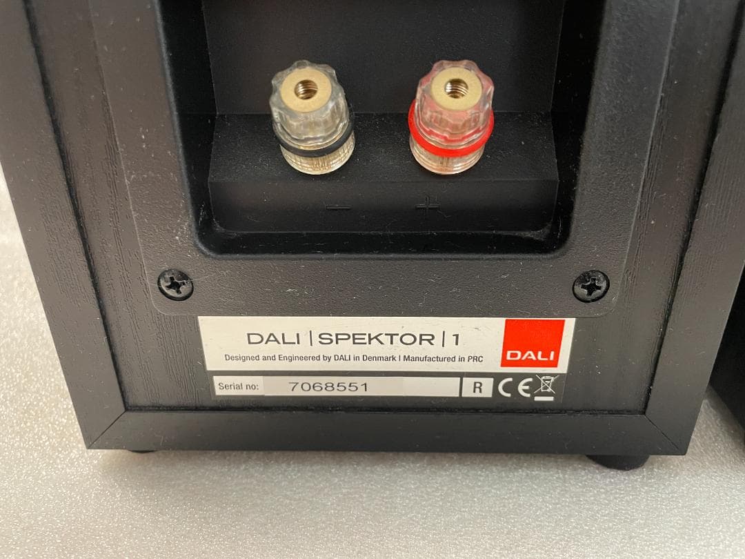 い*ご様 【DALI】スピーカー SPEKTOR１(２本セット)