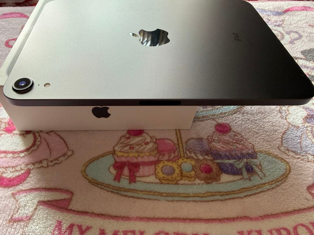 iPad mini (第6世代) 8.3インチ 64GB 100%