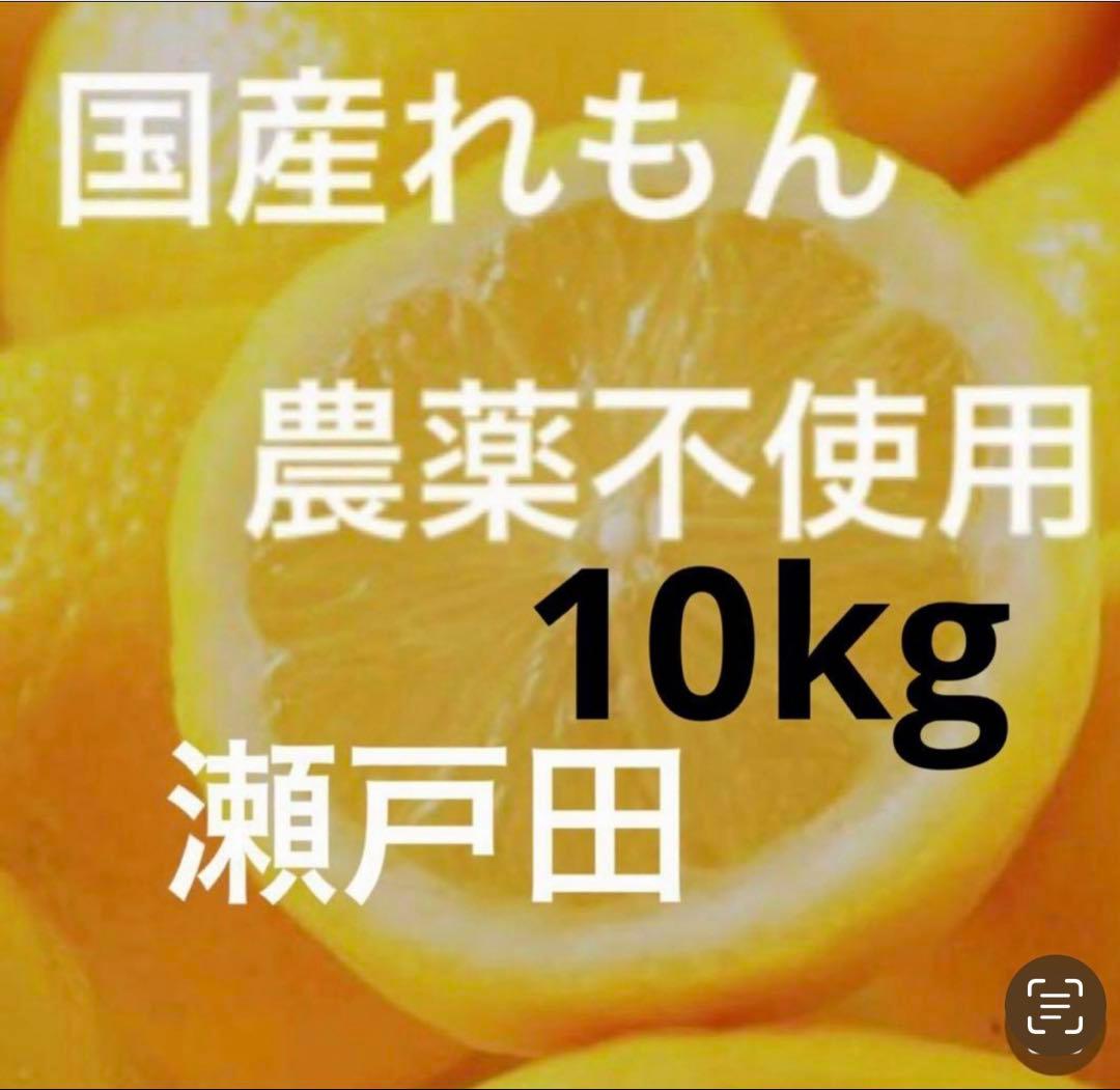 国産瀬戸田レモン10kg