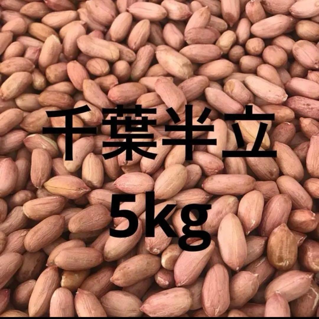 農家直送千葉県産落花生5kg