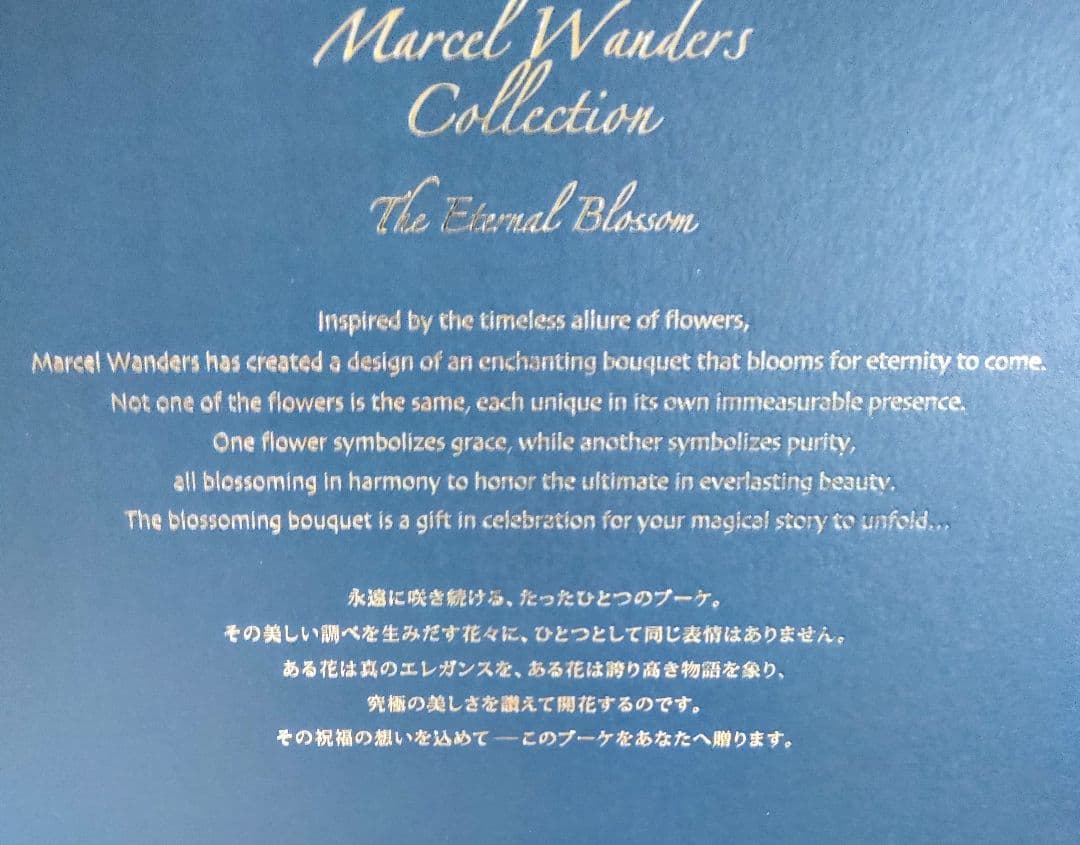 DECORTÉ Marcel Wanders Collection 　新品未使用