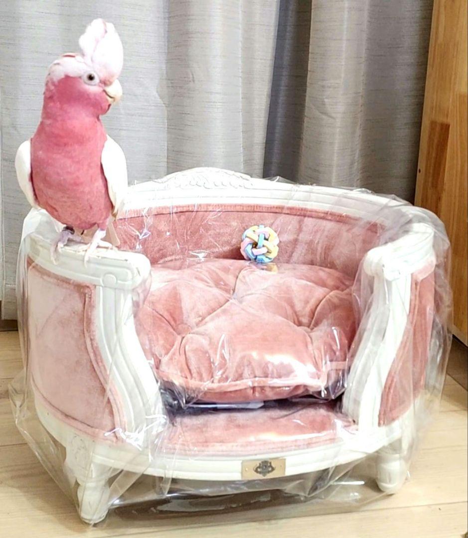 高級 フレンチ ロココ ミニ ソファー 飾り スーパードルフィー 子供 ペット