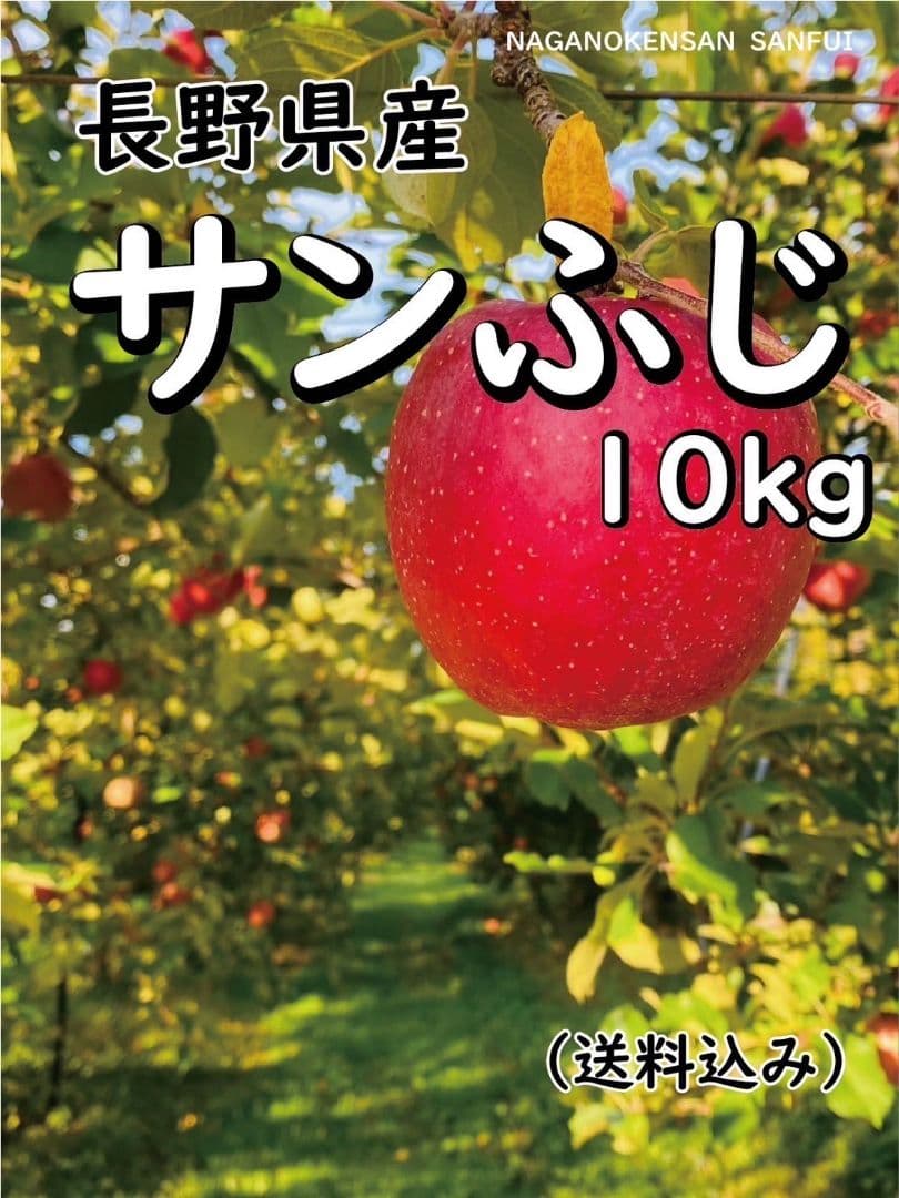 【マエケン】サンふじ　シナノゴールド　15キロ箱　家庭用　送料込み