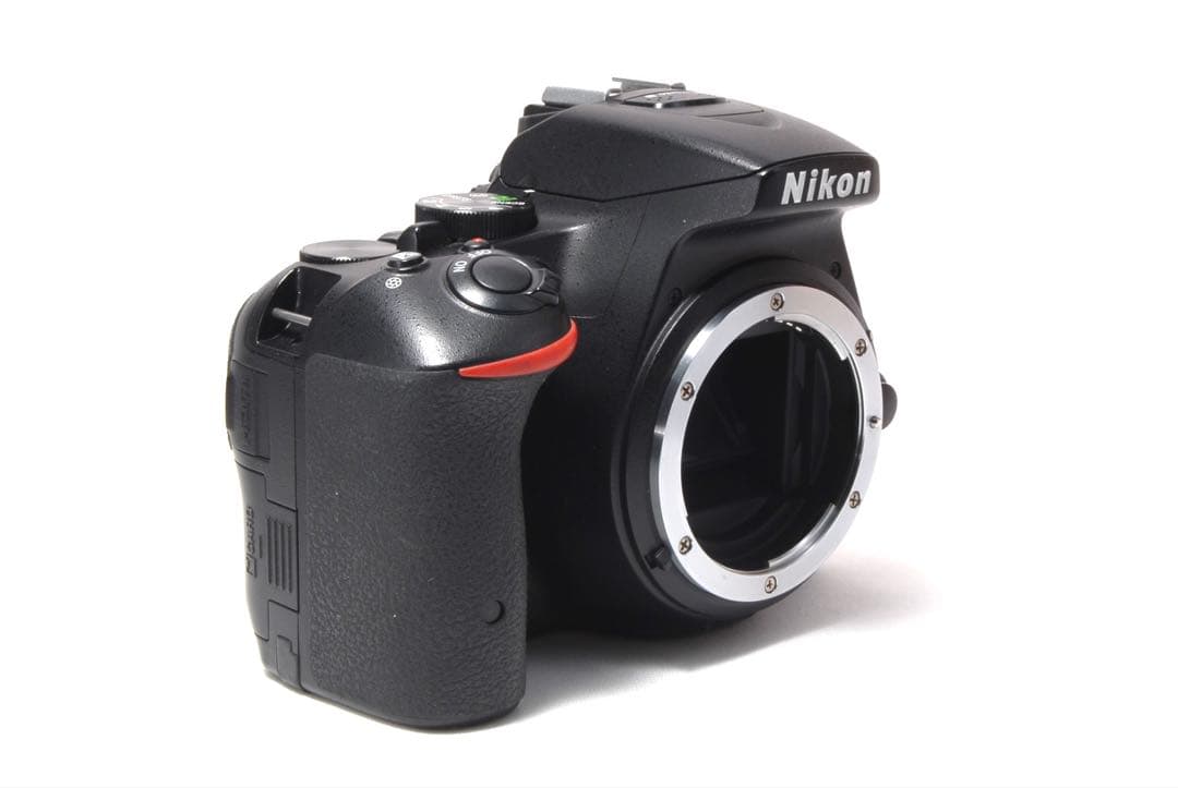 美品✨スマホ転送OK 高画質 Nikon D5500 レンズキット　自撮りOK