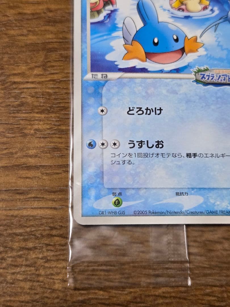 ポケパークのミズゴロウ プロモ 048/PCG-P ポケモンカード