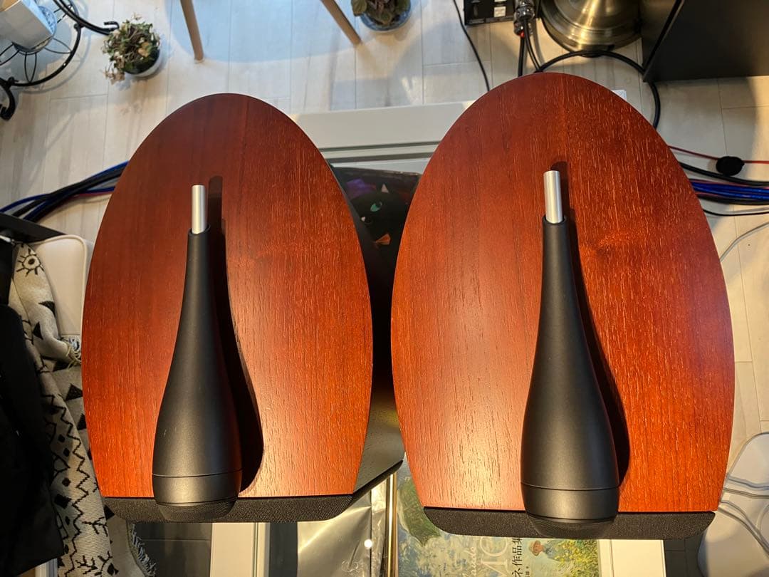 B&W 805S ROSENUT スピーカーペア美品（２台目）