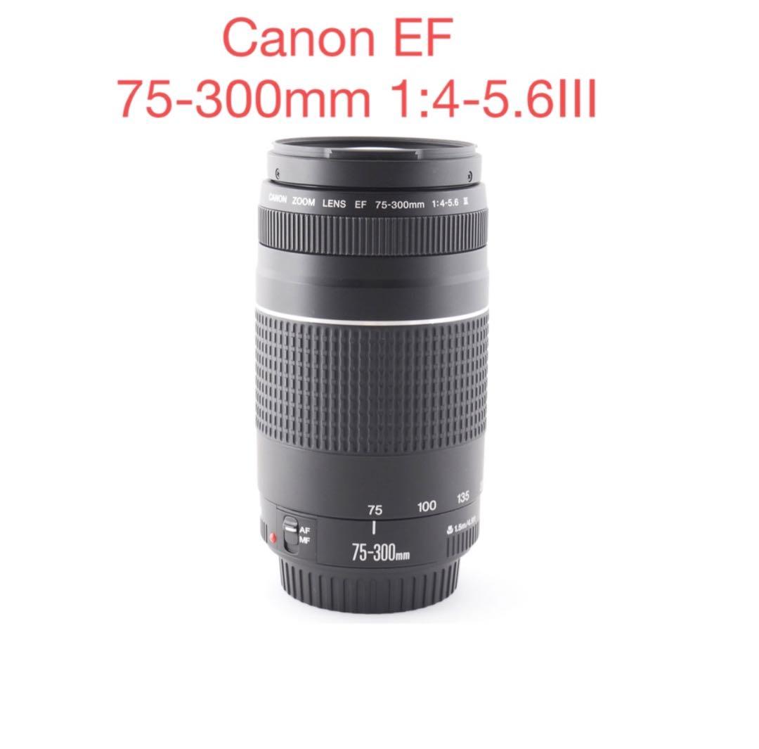 望遠レンズ☆キャノン☆Canon EF 75-300mm III