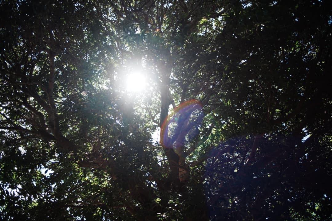 【極美品】Minolta New MD 28mm F2.8 ミノルタ 205