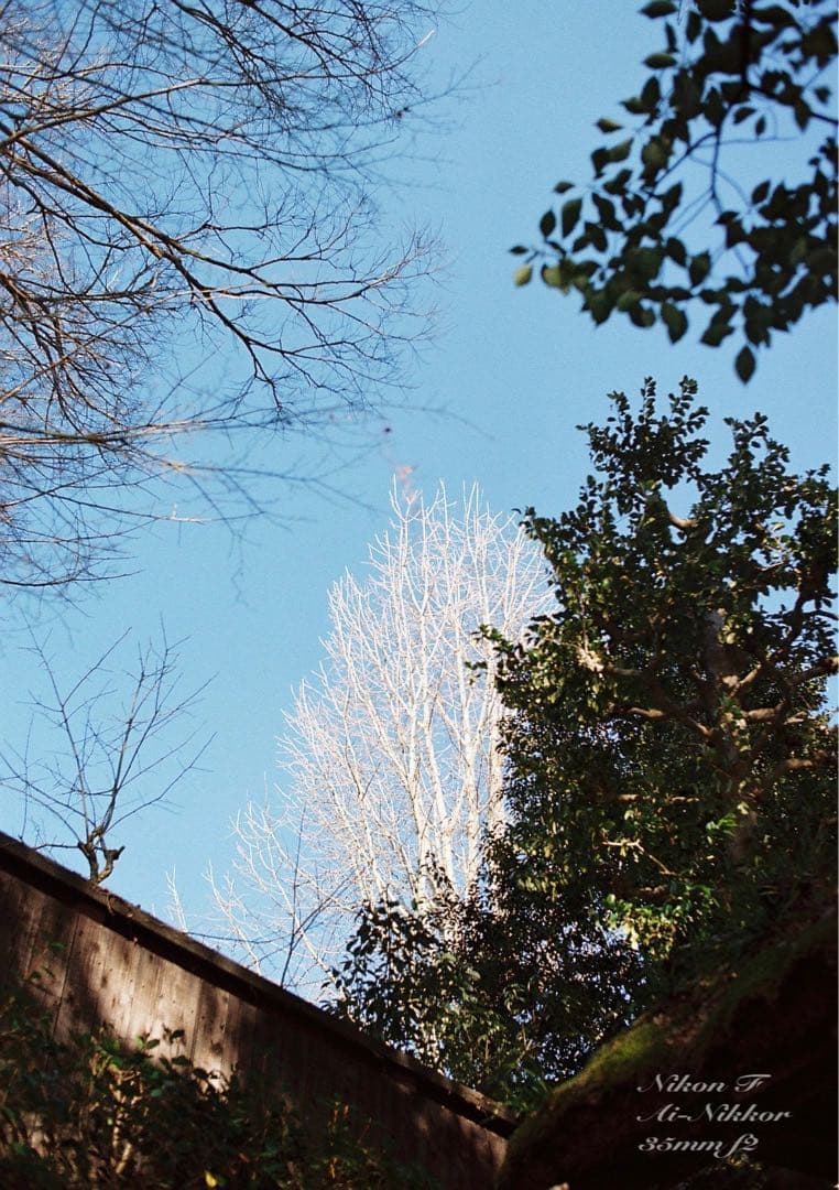 nikon f フォトミック★完動品＊美品＊初期保証★35mm f2！★作例必見