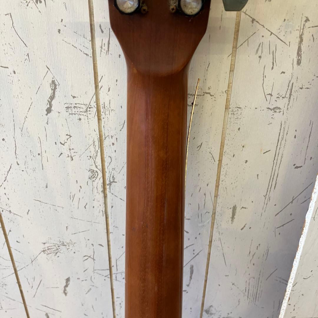 ジャンク品 ヒルビリー Hellbilly W-35 アコースティックギター