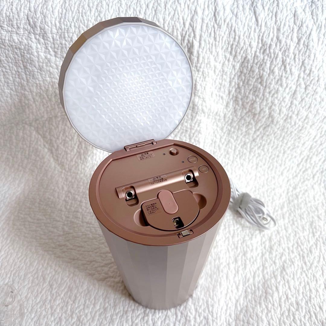 YA-MAN 美顔器 フォトスチーマー IS-100