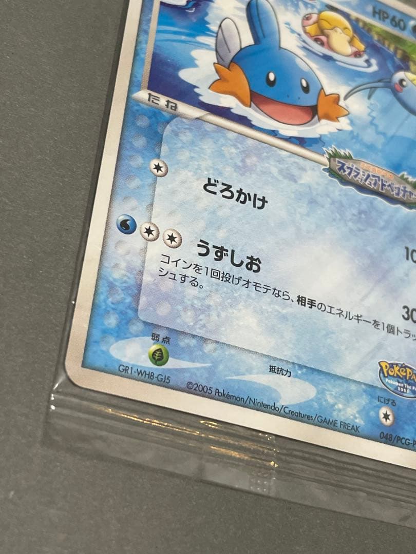 ポケパークのミズゴロウ 未開封 プロモ 046/PCG-P