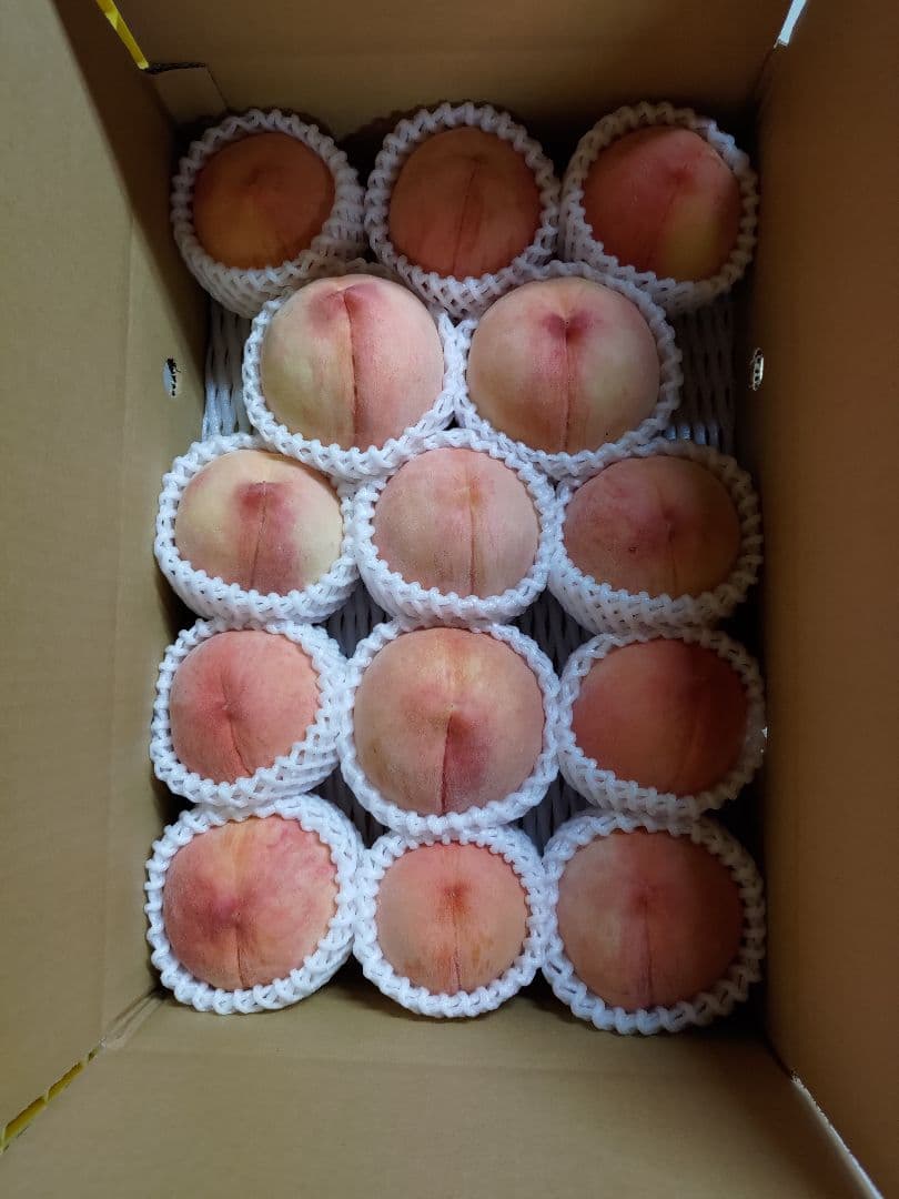 MYTさん専用　特大　桃　さくら白桃　わけあり　10kg