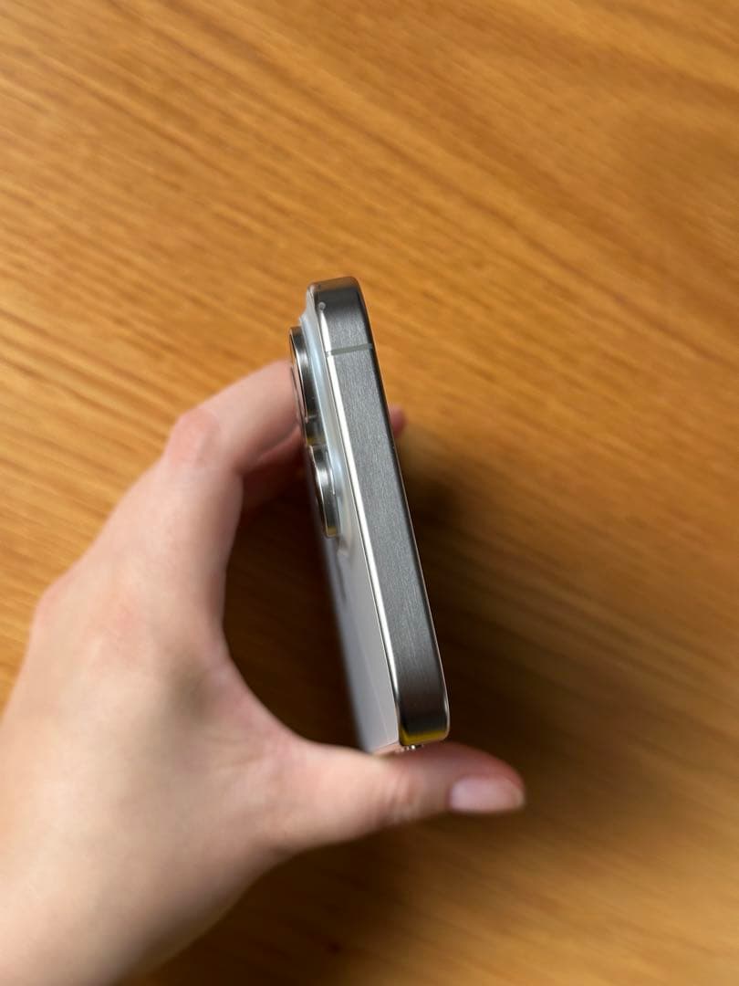 [山口さん専用]Apple iPhone 15 Pro Max 256GB 本体