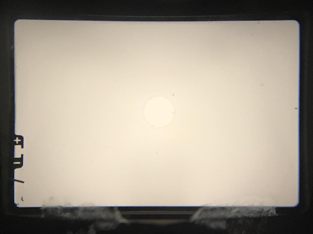 【整備済　美品】OLYMPUS OM-1 + 50mm F1.4 #1385