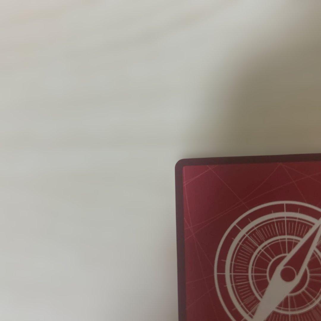 ゾロ　リーダーパラレル