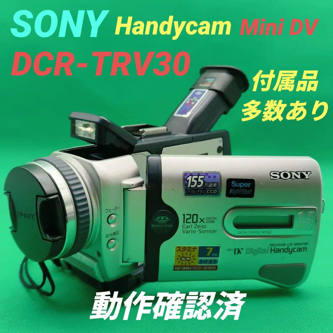 SONY ソニー Handycam DCR-TRV30 Mini DV