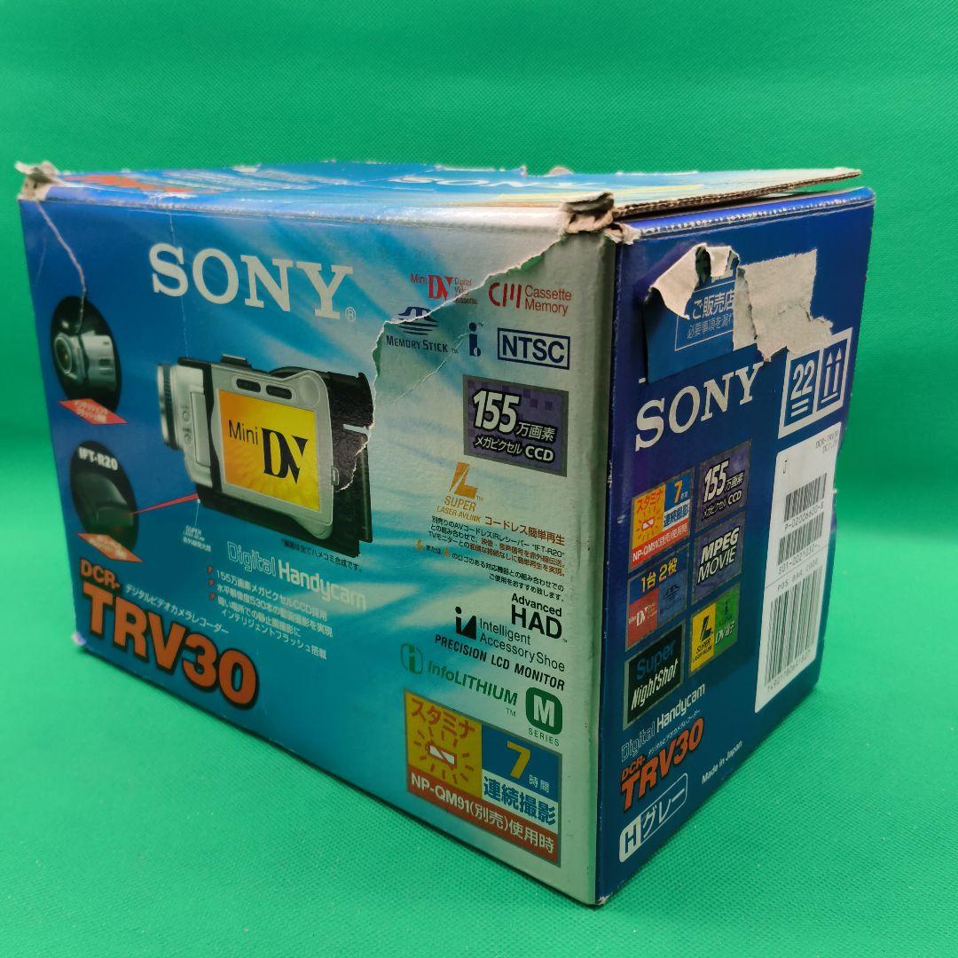 SONY ソニー Handycam DCR-TRV30 Mini DV