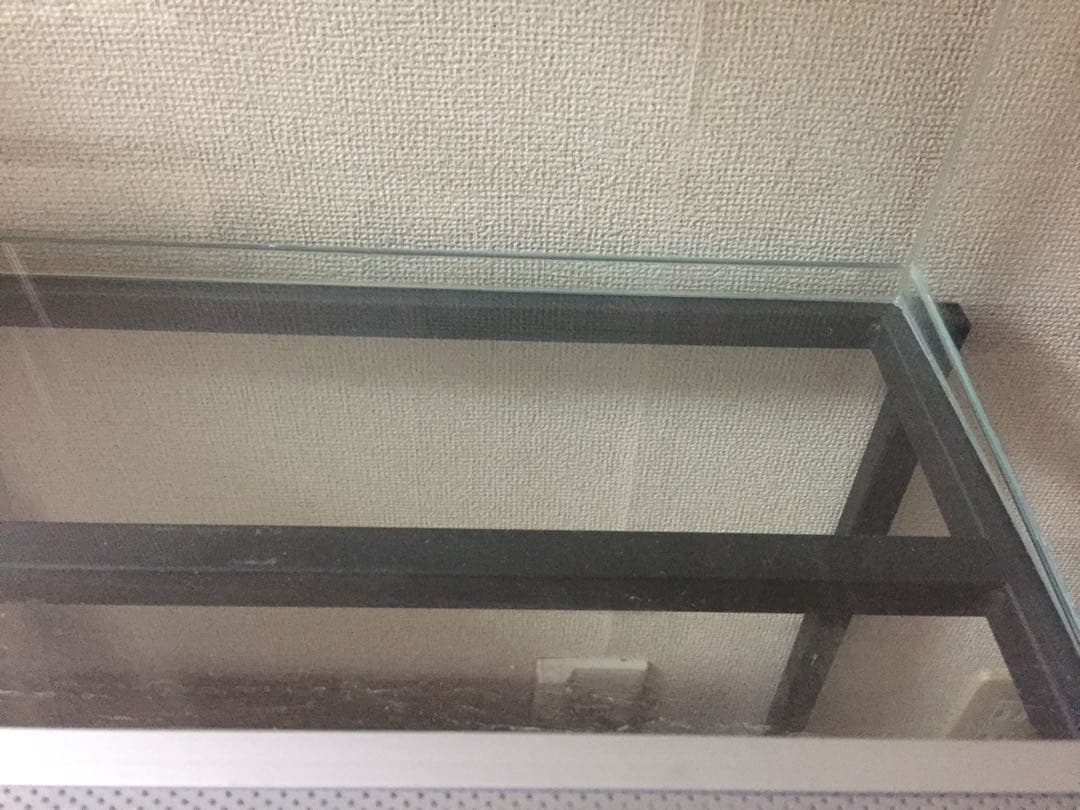 Rain Forest PCP6045 パルダリウムケージ 引取り限定専用