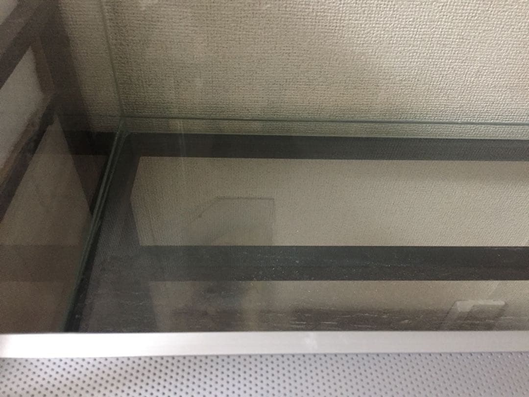 Rain Forest PCP6045 パルダリウムケージ 引取り限定専用