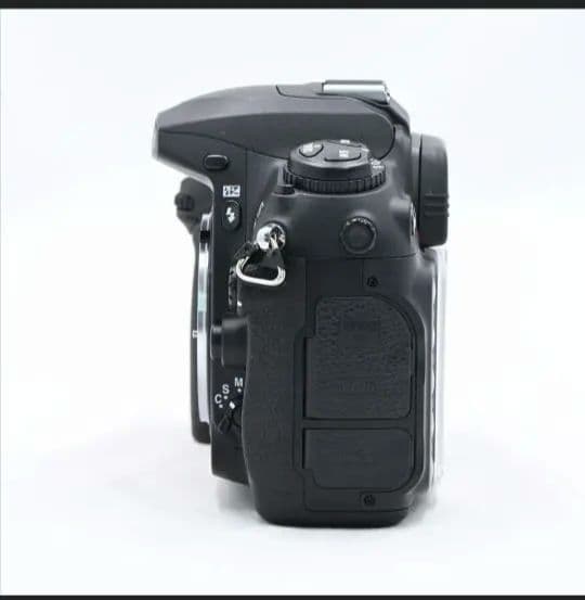 Fujifilm S5 Pro デジタル一眼レフカメラ　シャッター回数2000台