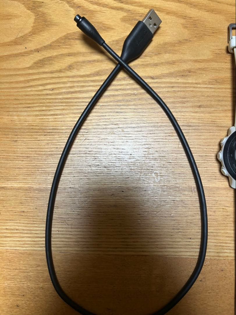 Garmin ForeAthlete 55（ガーミン フォアアスリート55）