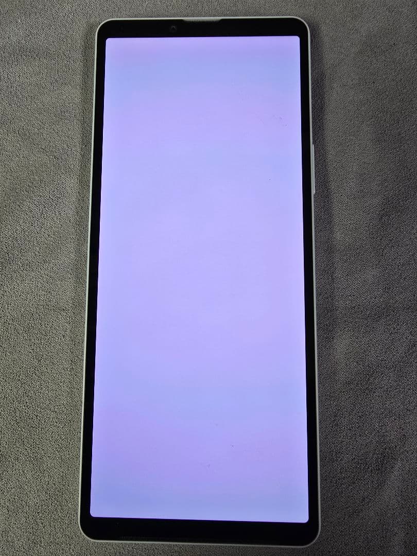 【美品】Xperia10 VI SO-52E ブルー docomo SIMフリー