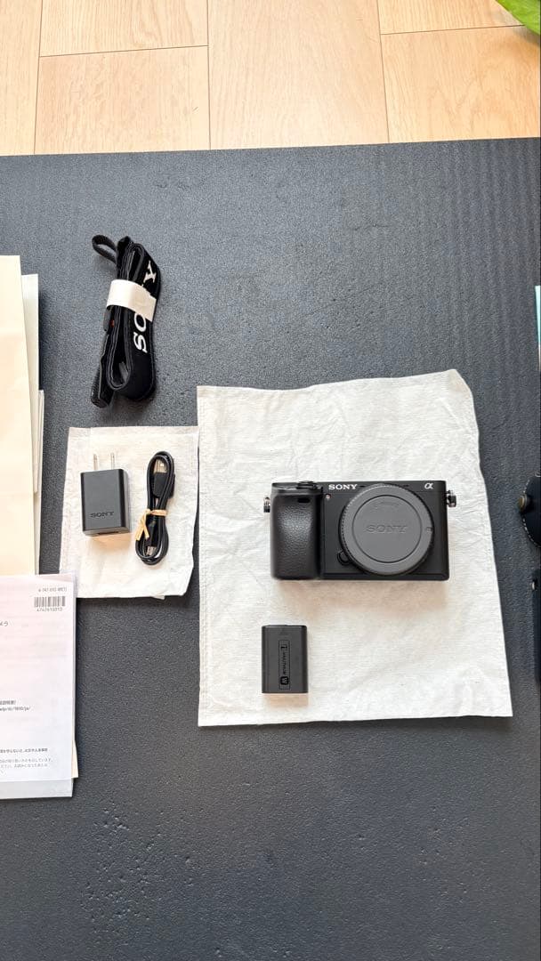SONY α6400 ミラーレスカメラ SIGMA レンズ付き