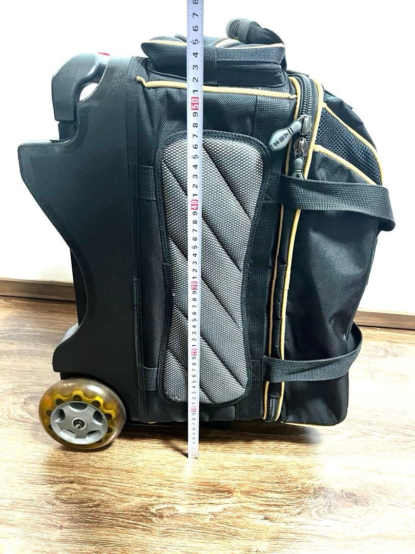 希少 ABS ボウリング バッグ キャリー 2ボール ボーリング キャリーバッグ